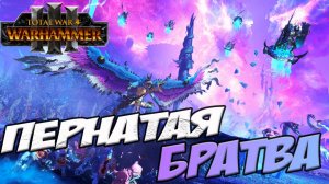 ДЕМОНЫ ТЗИНЧА. Разбор фракций в Total War WARHAMMER 3