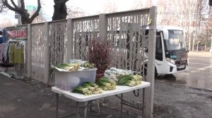 В КРАСНОЯРСКЕ НАЧАЛИ ПРОДАВАТЬ ВЕРБУ И ПЕРВУЮ ЧЕРЕМШУ