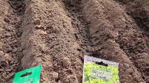 2303. Посев зелени в теплице.Начинаем с 24 марта.