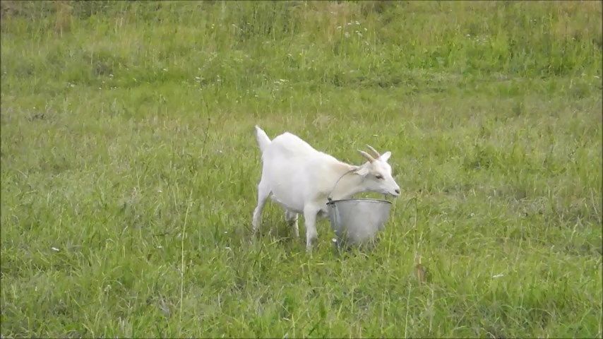 Отстань от меня