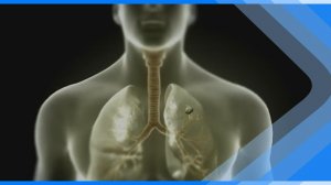 25.03.2026    Киселевские медики напоминают об опасном заболевании легких-туберкулезе