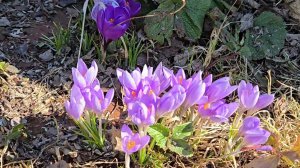 Прощание с кормушкой, посылка из Минска и возвращение Интернета