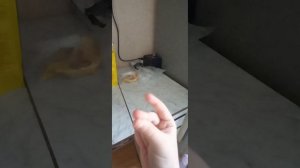 Мамочка заболела я ей помогла (не наиграно)