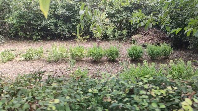 Один из дней города Евпатории | 23 июля 2021 год | Крым | ХАН БАТОН XAH 6ATOH | VID_20210723_152517