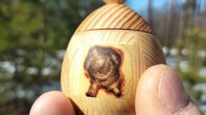 Шкатулка в мартовском лесу на сосне