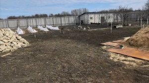 Работаем в саду 💪🏻🌿