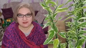 2 часть. Пук@н горит❗️Обзоры действуют❗️