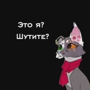 Темная Ночь КВ в образе человека?!!!!! |Коты Воители Темная Ночь КВ|