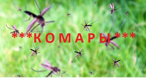 КОМАРЫ 2026-03-25)