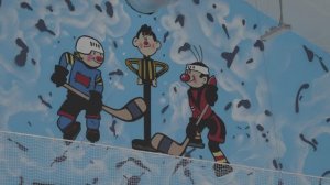 Вместо гаражей – ледовая арена