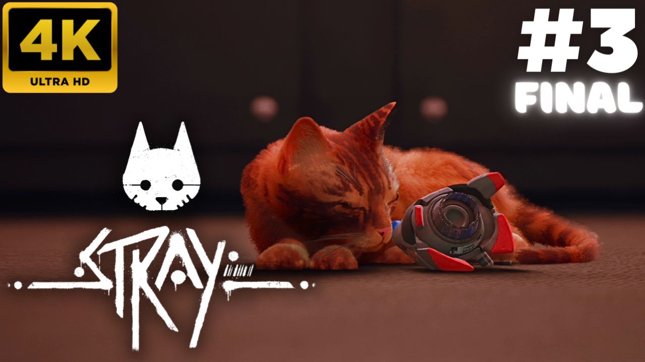 Stray \ Прохождение #3 (FINAL) (4K)