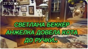 САМВЕЛ АДАМЯН, ОБЗОР ОТ СВЕТЛАНЫ БЕККЕР НА СНЕЖКО ГАДКО, АНЖЕЛКА ДОВЕЛА КОТА ДО РУЧКИ..