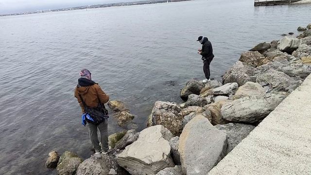 Анапа. Шикарные виды с пирса волнореза. 25 марта 2026.