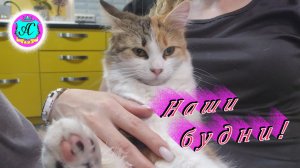 #Абхазия!🌴Сухум. Каштак. Гостевой Дом "АлиСер".❤🌹 Наши будни!