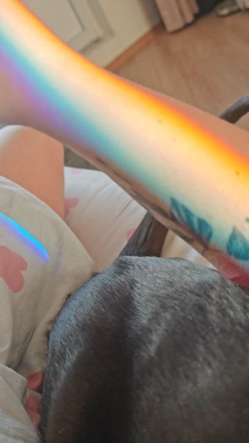 Радужные мы 🐾