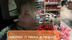 🟣ЛЕНИВЫЕ РОЛЛЫ 🍣МНОГО ПОКУПОК В ГЛОБУСЕ 🤗НА ДАЧЕ ПОЛИЛИ РАССАДУ 🌺🪴