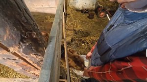 Расстраиваюсь и все путается!