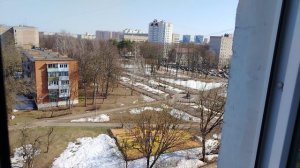 Мысли в слух: что лучше сегодня VK или Rutube