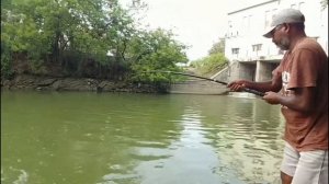 ЛОВЛЯ Крупной Мощной рыбы РОХУ на рисовую муку.