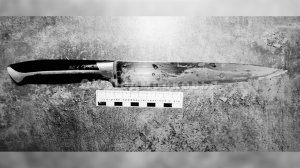 Жителя Чехова обвинили в убийстве пасынка ножом.