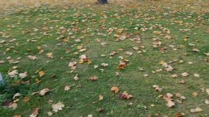 09-10-2025 ВДНХ, осень, будний день выход на Сельскохозяйственную улицу