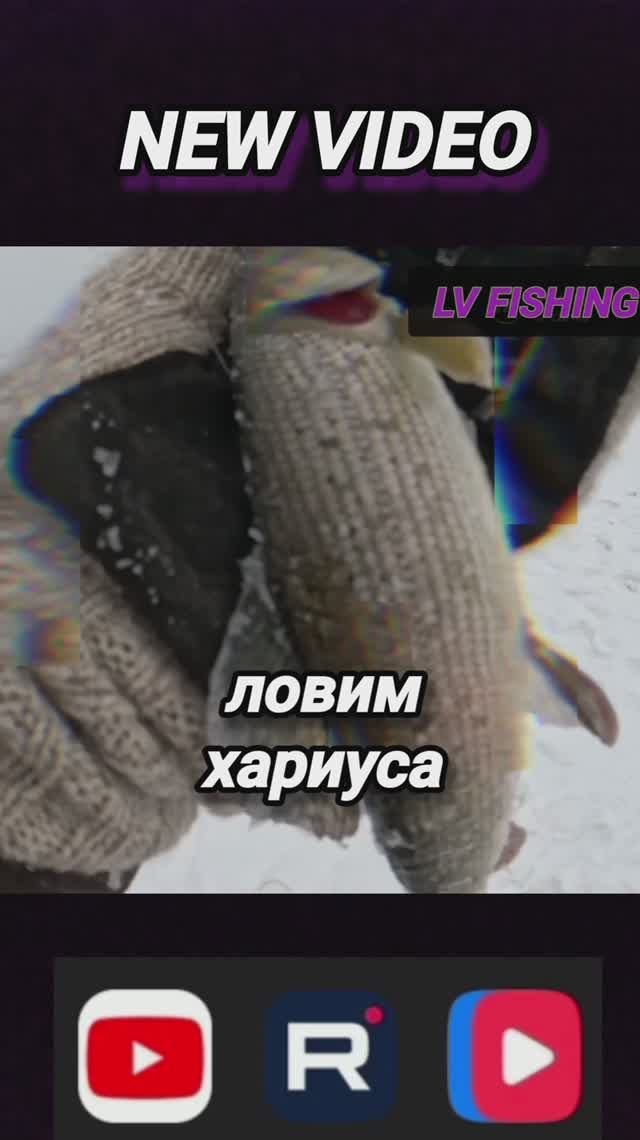 #СИБИРЬ #ТАЙГА #ХАРИУС #РЫБАЛКА