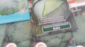 25.03.2026 И все-таки капусту посеяла в домашних условиях.