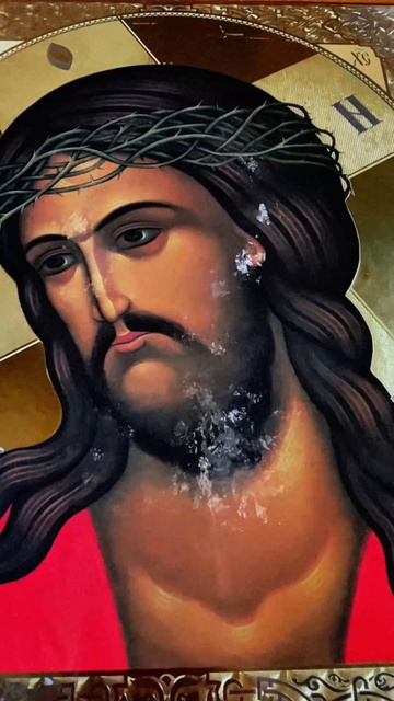 Любите жизнь❤️