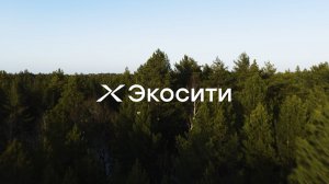 Экосити — динамика строительства за I квартал 2026 года