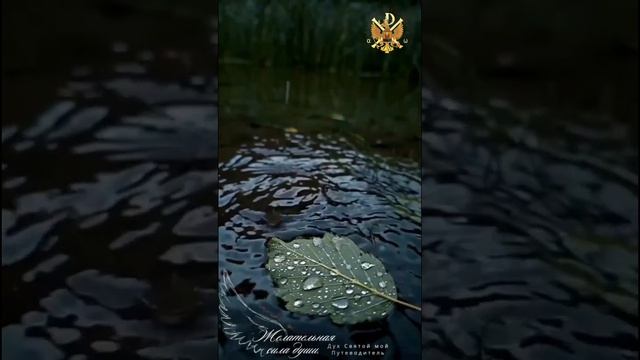 19. Дух Святый — мой Путеводитель. Часть 19-я — «Желательная сила души».