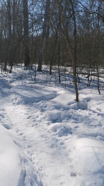 YouCut_20260325_181400590.mp4