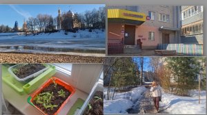 Получили лекарства. Заехали к свекрови.