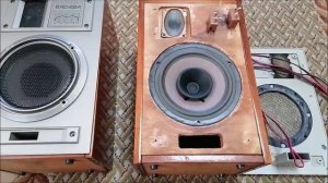 Авторская акустика на базе корпусов колонок 6АС-224