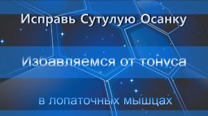 Избавляемся от тонуса в лопаточных мышцах