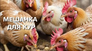 Жизнь в деревне Хоть тепло и пришло не забывайте давать витамины и мешанки курам-несушкам