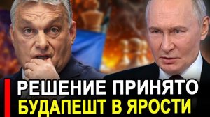 Вот и все Решение принято Принципиальность улетала в трубу