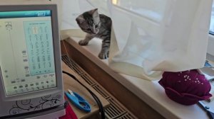 Кому сейчас хорошо?