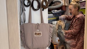 Провальная задумка//Мы не кормим нашу собаку