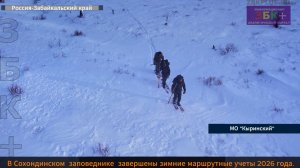 ЗБК + В Сохондинском  заповеднике  завершены зимние маршрутные учёты