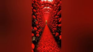 ИСТОРИЯ ЛЮБВИ ОДНОГО ХУДОЖНИКА нейросеть