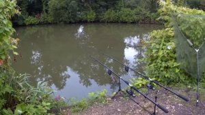 ЛЕТНЯЯ РЫБАЛКА В АНГЛИИ