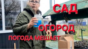 1134 На Кубани Только так.Не всё можем Успеть . Чем Побелили САД. Обработали Клубнику и Малину.