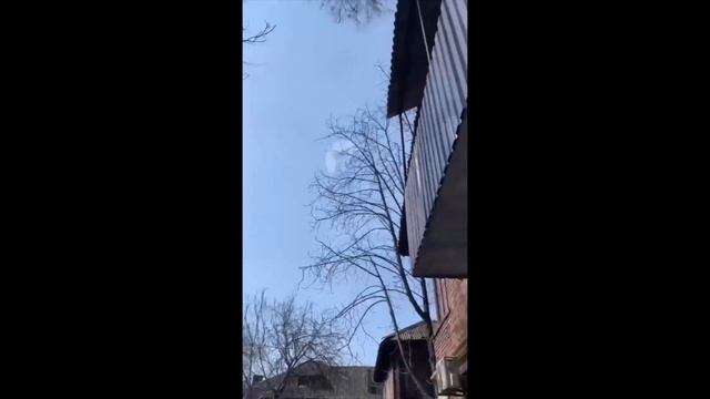 ������� �������� �� �������� �������������� �������������� � ������ ����