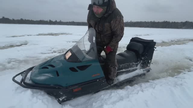 Тайга и скандик полный газ.