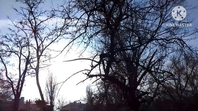 Не в деньгах счастье. смотреть онлайн