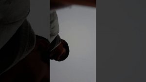 ферма улиток