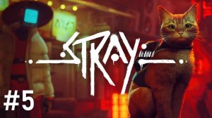 #Stray 5. Оружие против монстров!