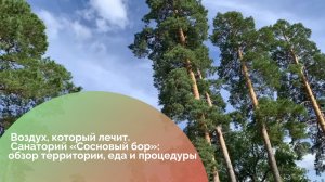 Почему я уезжаю в санаторий на 21 день? Сосновый бор, Пензенская область