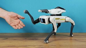 Мой новый питомец Робот Собака Spot из Китая