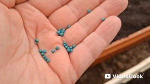 Наши 8,4 сотки🏡Посеяла первую зенушку.Лук,укроп и редис.